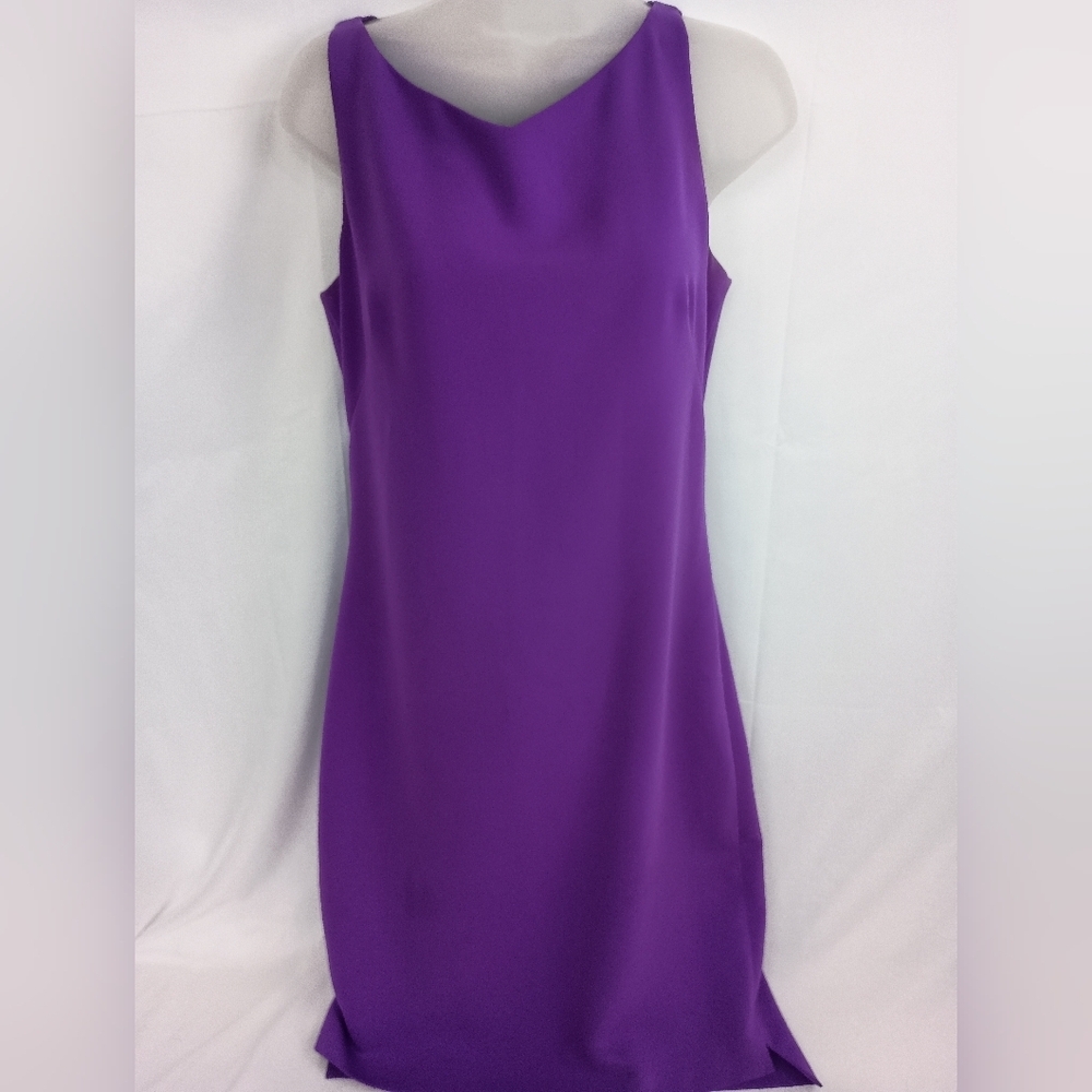 TAHARI Elegant Christmas Holiday Purple Long‎ Sleeveless Dress (#1,252)